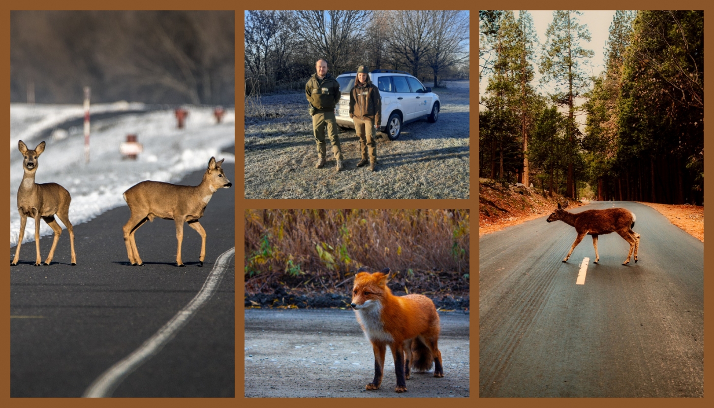 Scontri silenziosi ai piedi del Re di Pietra