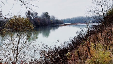 Belangero, l'area da rinaturalizzare -  Foto archivio EGAP Parco paleontologico astigiano