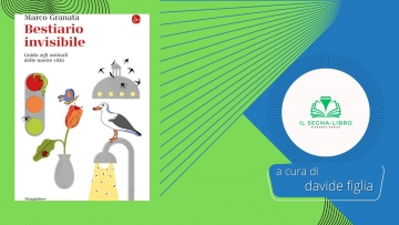 Alla scoperta del mondo invisibile che ci circonda