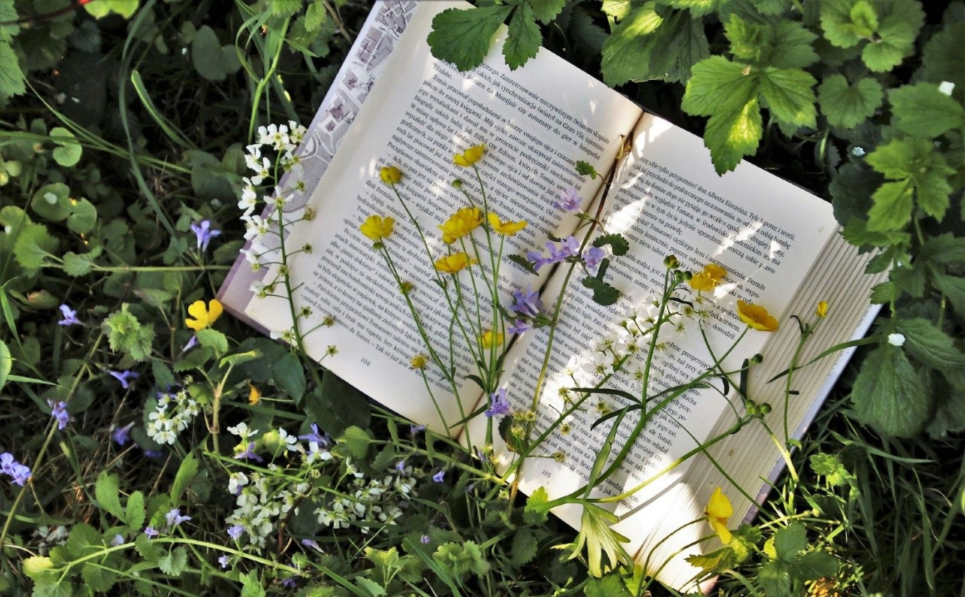 Codice dell'ambiente