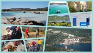 Nelle foto, paesaggi e attivit&agrave; nel Parco nazionale dell'Asinara