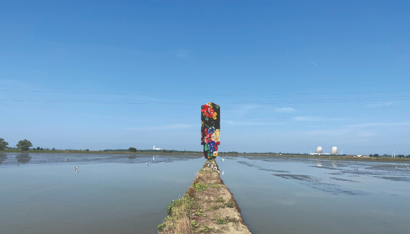 Le terre vercellesi del riso - Foto Matilde Cassani Studio