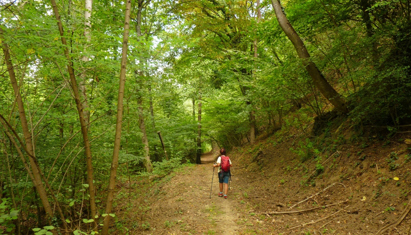Il sentiero nel fondovalle della Valle della Morte 