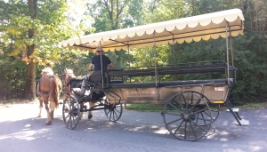 Carrozza presso la Cascina Vittoria