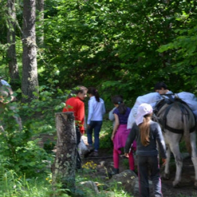 Giovani Marmotte crescono