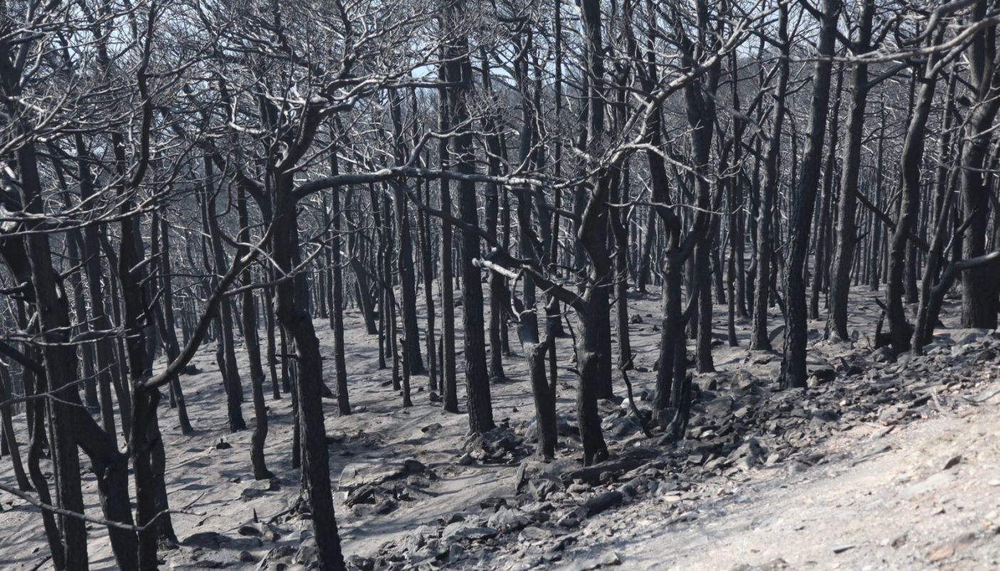 Danni incendio a Batteria Paradiso  | Foto L. Giunti