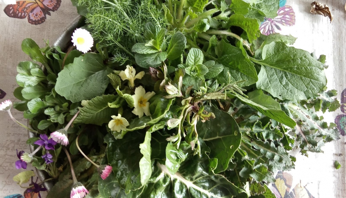 Le buone erbe | Foto S. Mecca Fenoglia 