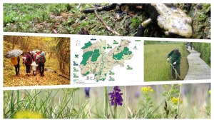 Reti di Riserve, la via trentina alla tutela ambientale