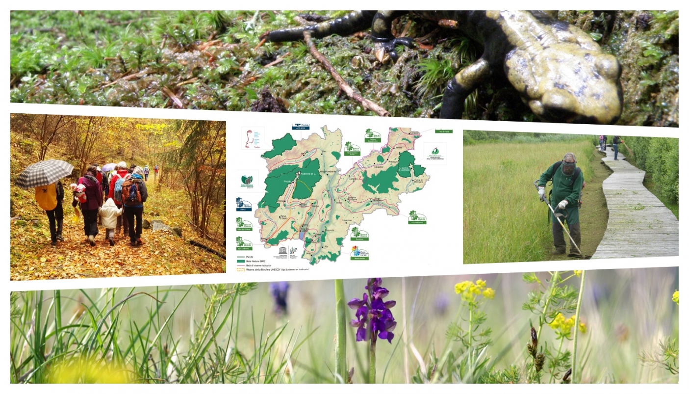 Reti di Riserve, la via trentina alla tutela ambientale