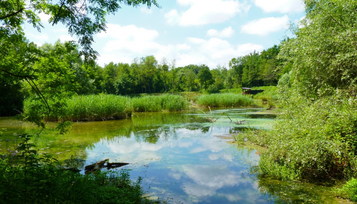L'area umida intitolata a Bertero Stuardi 