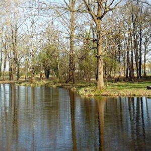pl laghetto di Romano camavese