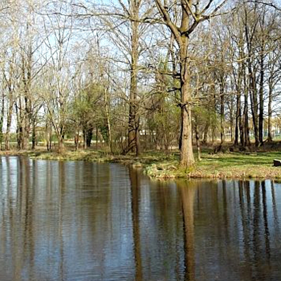 pl laghetto di Romano camavese foto F.Ceragioli
