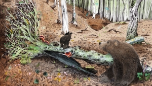 Illustrazione di Valentina Gottardi. Tratta da Caduto. La seconda vita degli alberi.