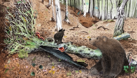 Illustrazione di Valentina Gottardi. Tratta da Caduto. La seconda vita degli alberi. 