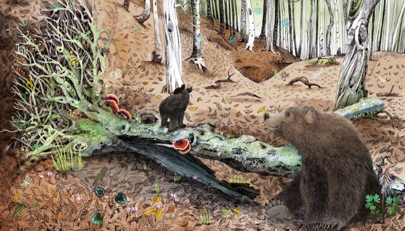 Illustrazione di Valentina Gottardi. Tratta da Caduto. La seconda vita degli alberi. 