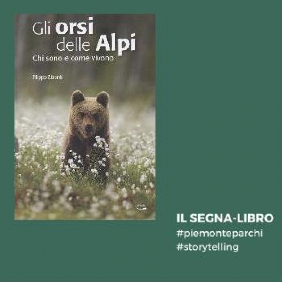 Gli orsi delle Alpi.