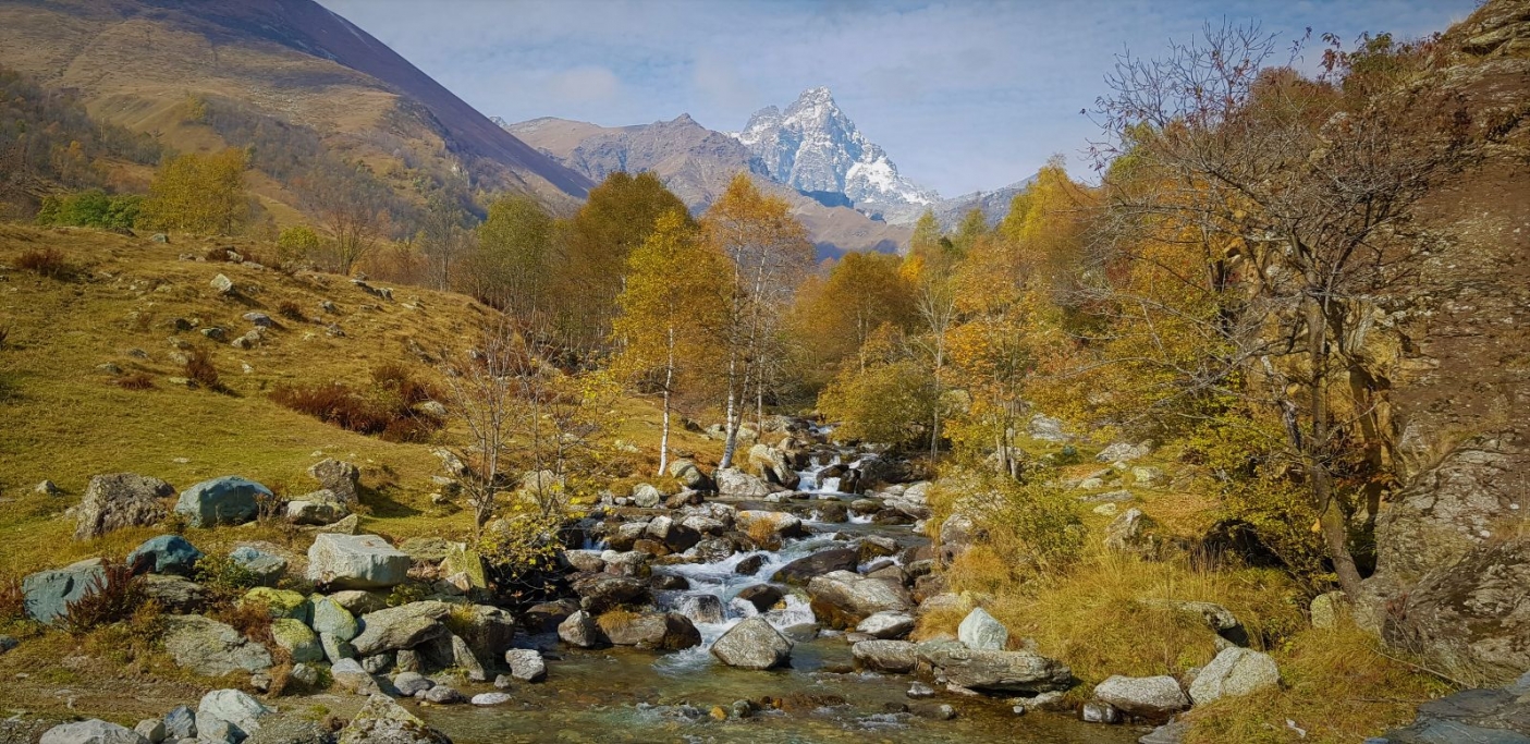 Il Rio Bul&eacute; di Oncino - Foto E.Falasco,  ALPSTREAM e Universit&agrave; degli Studi di Torino 