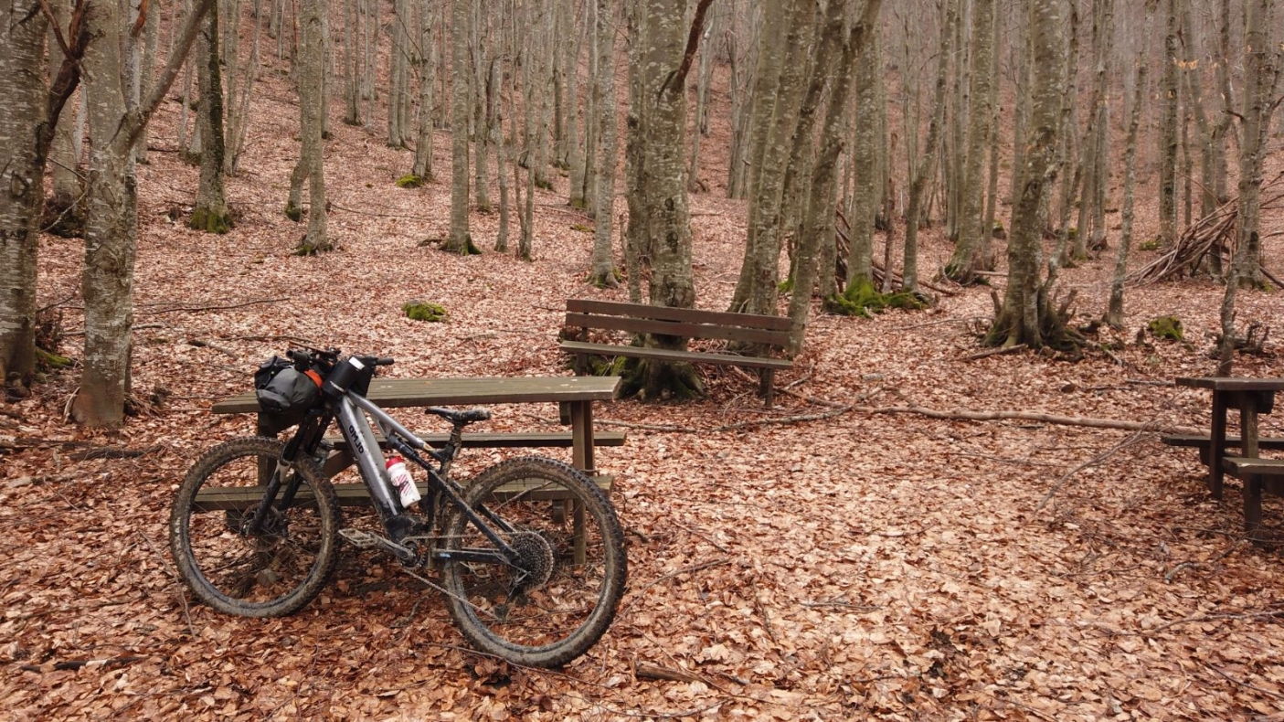 Il bosco di faggi attrezzato con tavoli e panche che si attraversa dopo la frazione Montaldo di Cosola seguendo il sentiero CAI 229 - Foto p.g.c. EGAP dell'Appennino piemontese