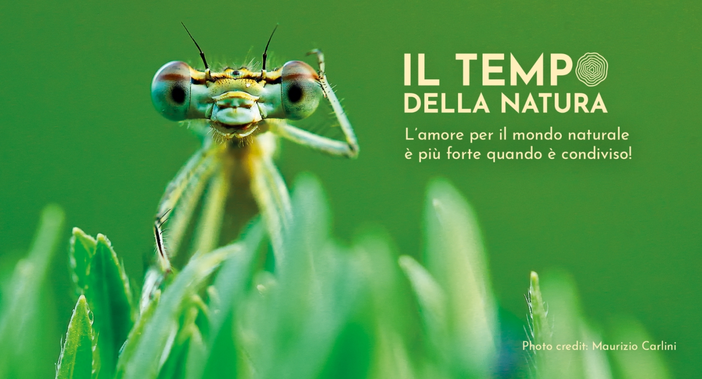 Ti piace fotografare la natura?