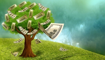 Biodiversit&agrave;, da voce di costo a valore di investimento