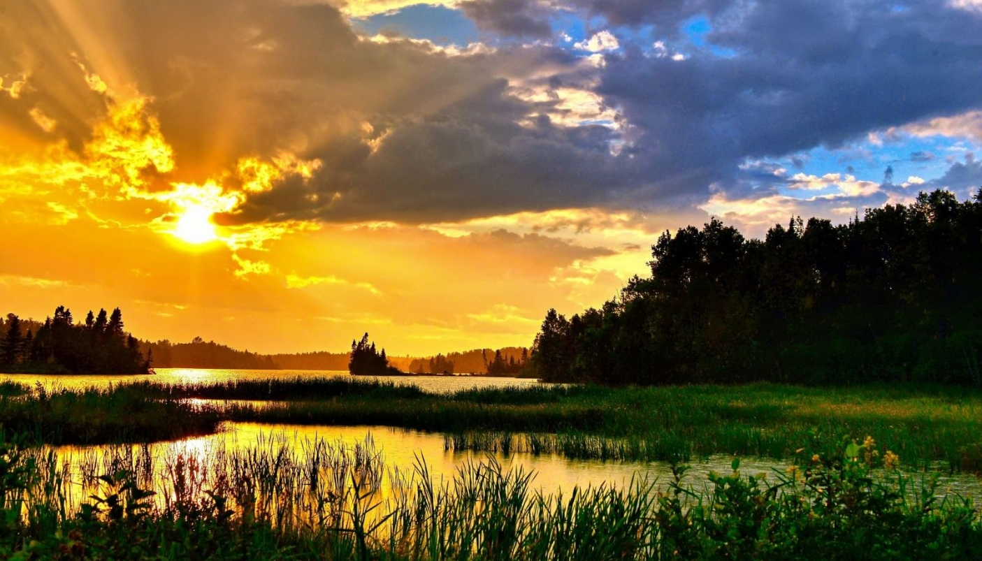 Una zona umida, uno degli habitat pi&ugrave; importanti per la biodiversit&agrave; - Foto Pixabay 