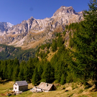 Parco Alpe Devero (e Alpe Veglia): Alpeggio di Corte d&rsquo;Ardui