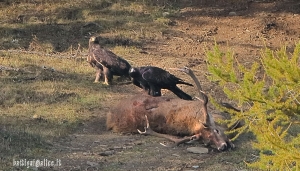 In natura, nulla va sprecato