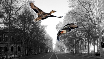  Pgc - Arpa e Regione Piemonte 