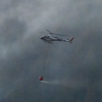 Dopo gli incendi, come stanno i nostri boschi?