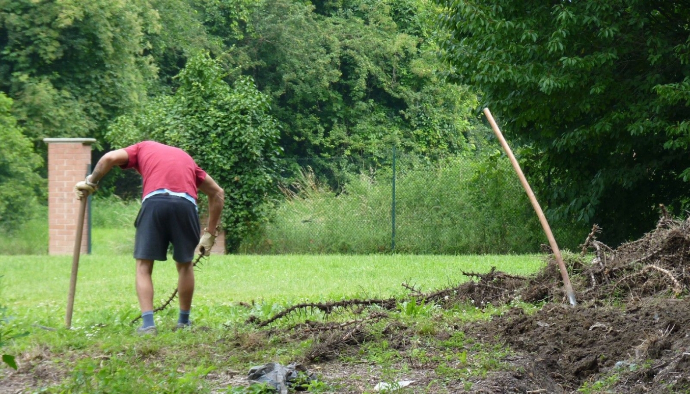 Lavori di Pubblica Utilit&agrave; al Po torinese: bonifica di terreno da rizomi di bamb&ugrave; - Foto Orazio Dominici