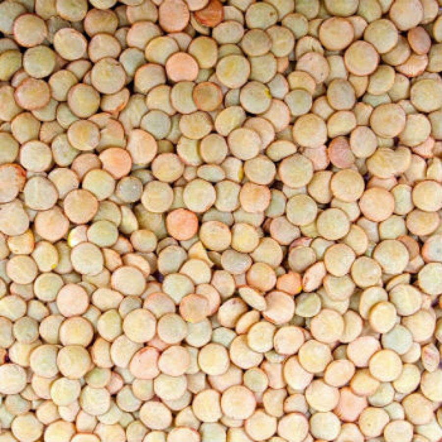 Terremoto: i prodotti del parco per ricucire le crepe