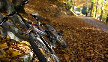  Mountain bike appoggiata al piede di un faggio | 'Concorso in bici nei parchi' (Foto C. Caligaris)