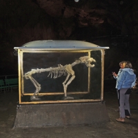 La sala dell'Orso a Bossea  foto A.Molino