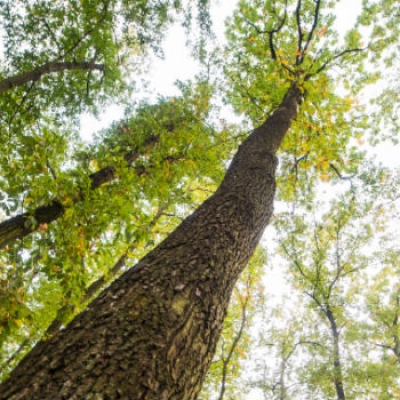 Il Piemonte per il clima