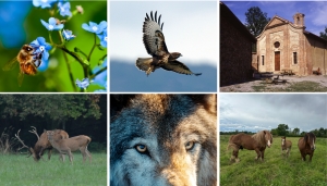 Elaborazione fotografica A. Gado