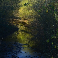 Augusta Bagiennorum, una riserva davvero speciale