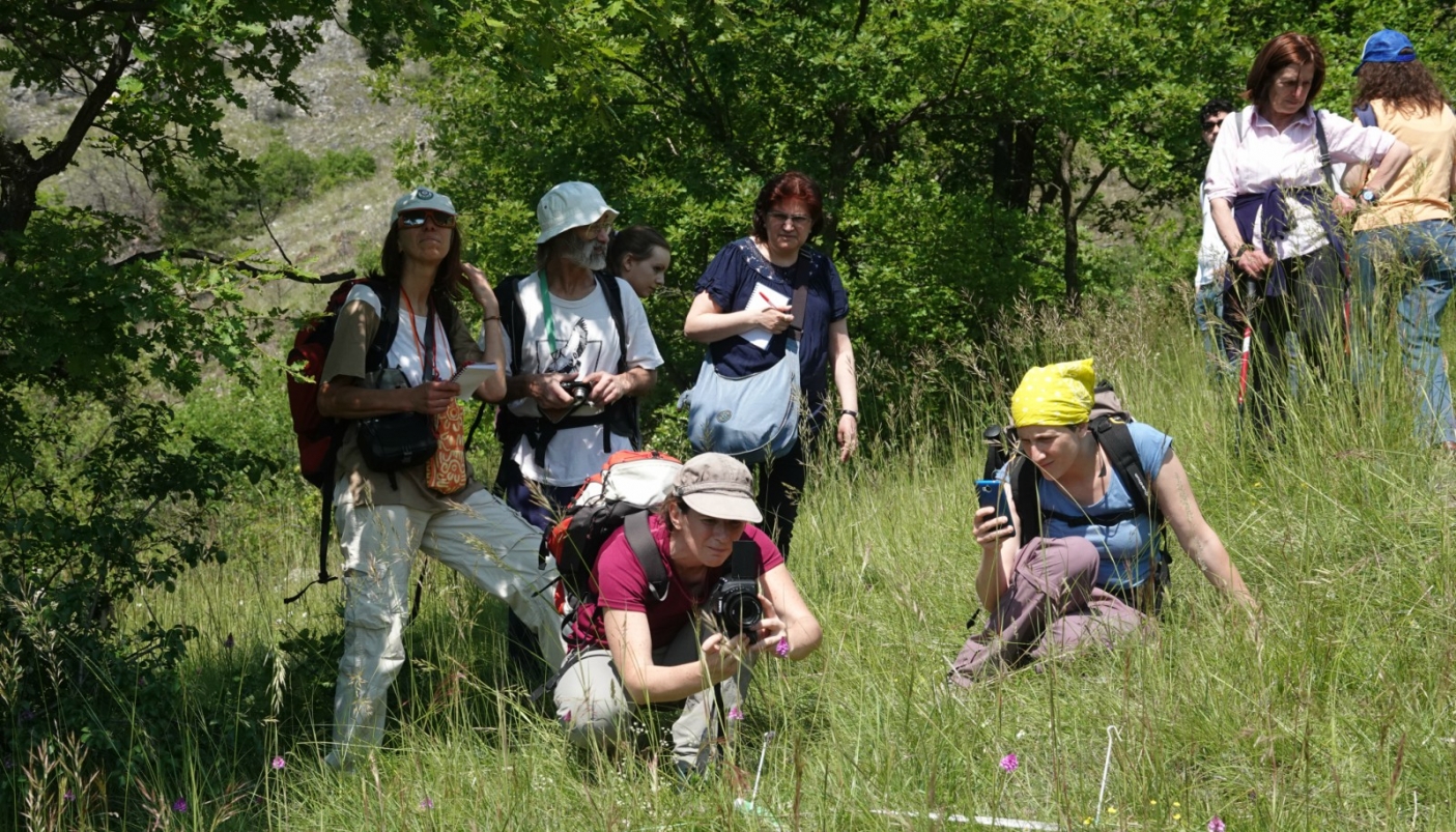 Studiando le praterie alpine  (Foto L. Giunti)
