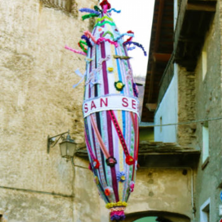 l'albero della "Pouento" foto di Loredana Matonti