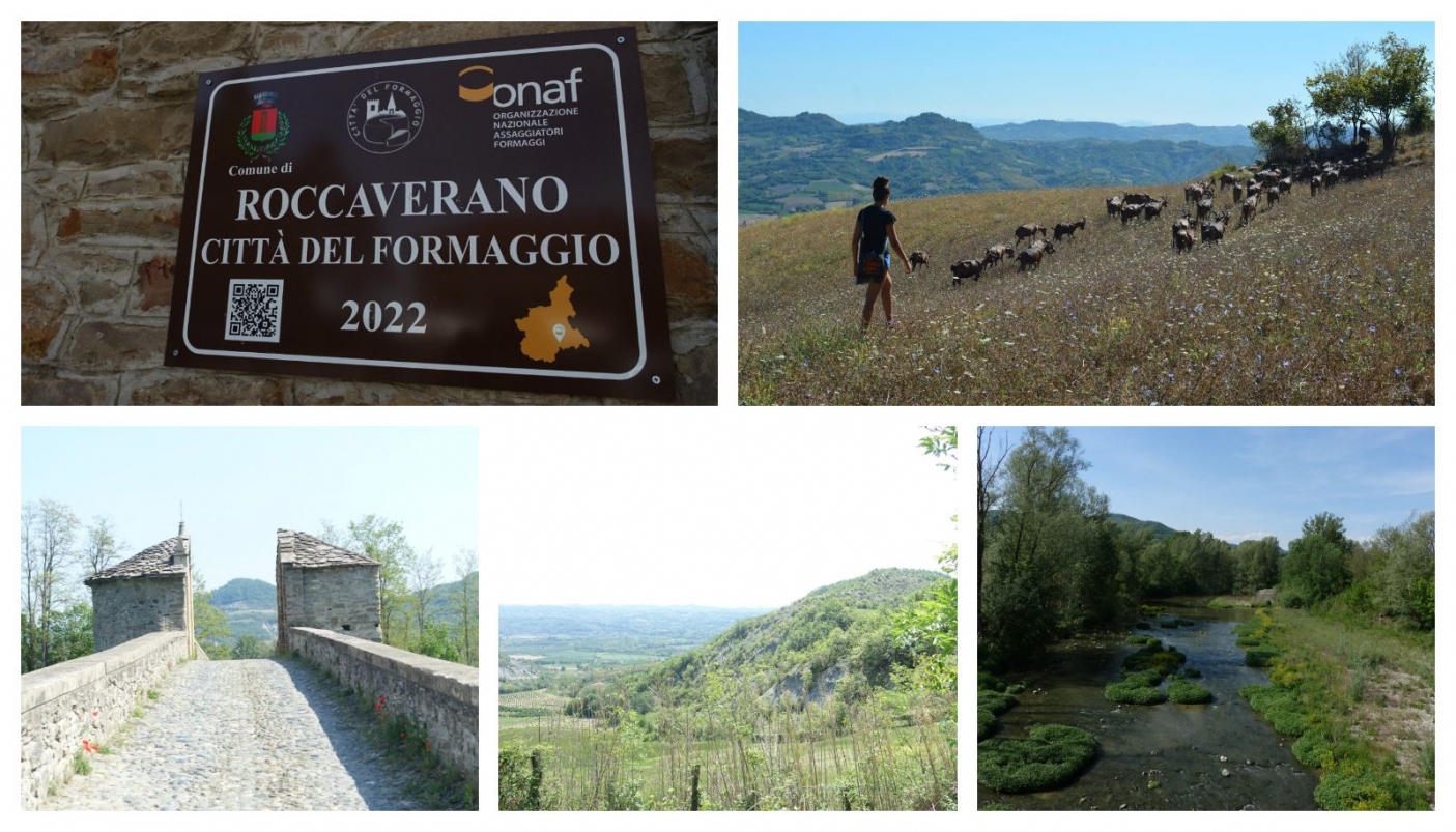 Alcuni scatti della  zona delle Langhe di Spigno Monferrato - Dal sito Piemontesud.it 