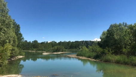 Po nei pressi di Casale Monferrato   - Foto I. Ostellino