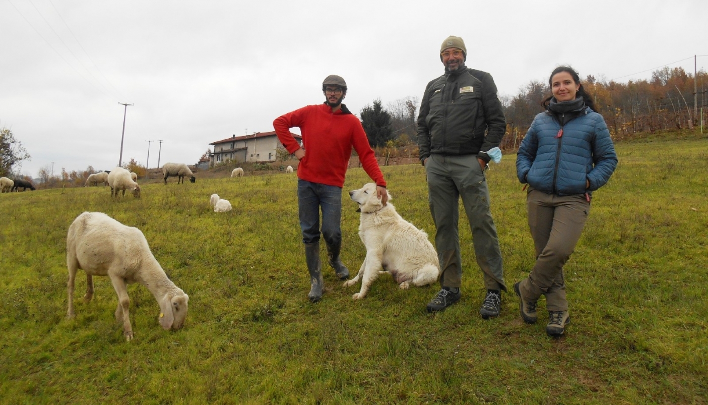 Da sinistra: l'allevatore Amedeo Amich, il guardiaparco Paolo Tardito e la funzionaria tecnica dell'Ente Parco Iolanda Russo  