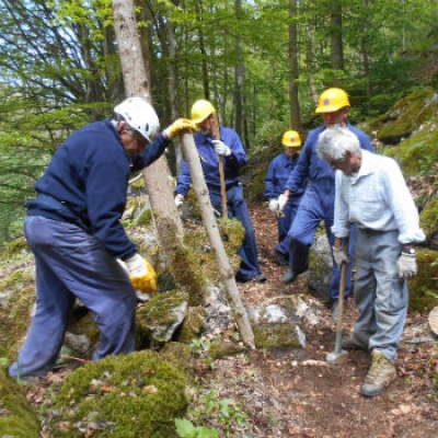 Volontari al lavoro 