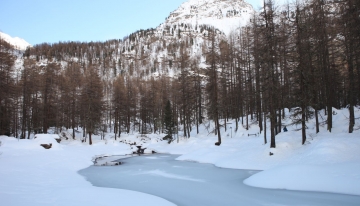 La foresta si specchia nel Lago Pellaud Foto A. Corr&agrave;