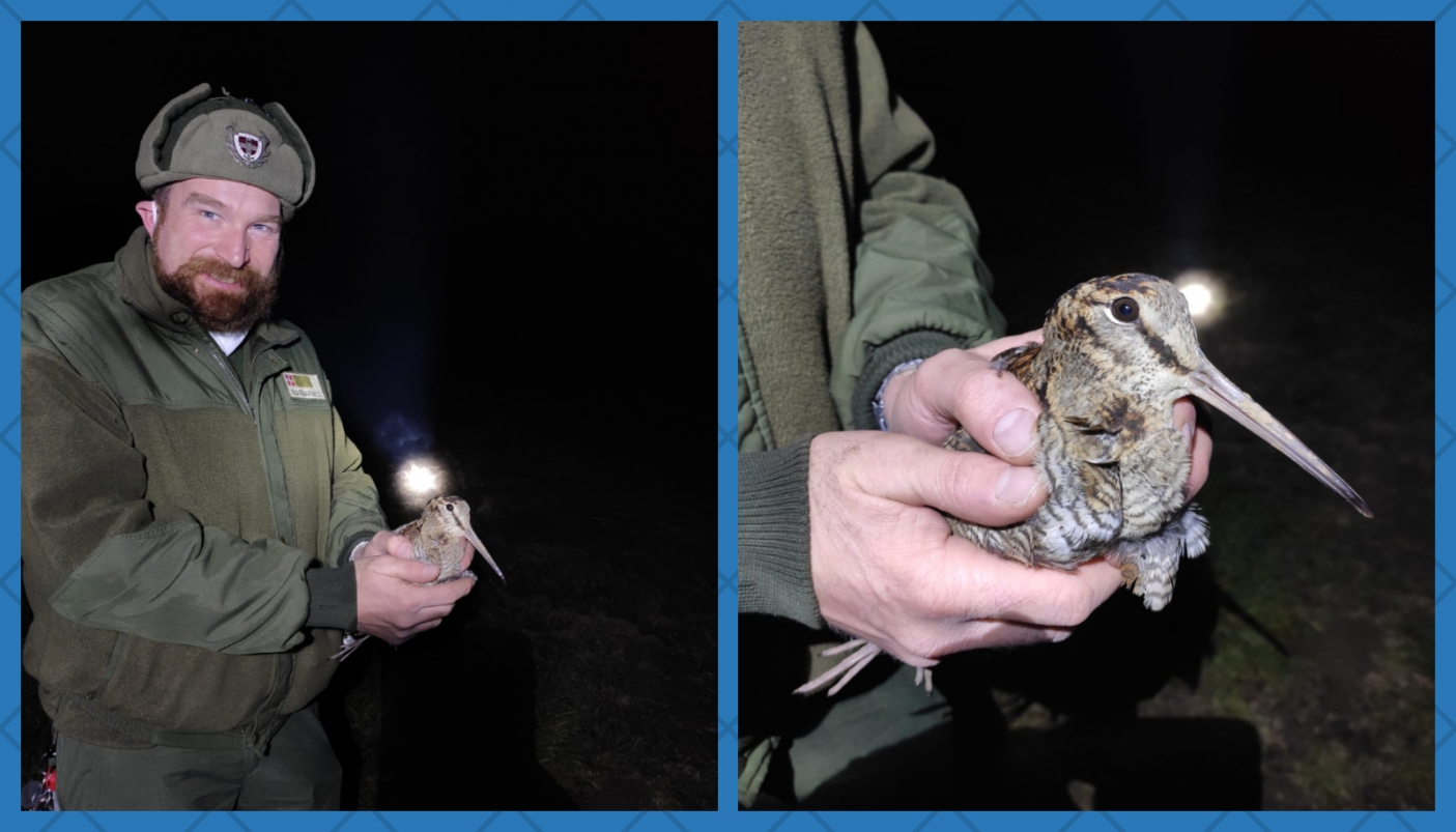 Un momento dell'equipaggiamento della beccaccia | Foto Arc. Parco La Mandria