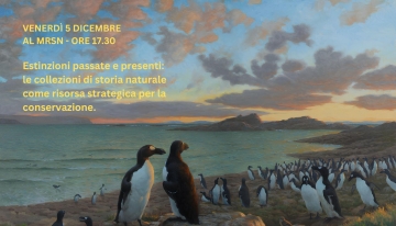 Dipinto di Julian Friers: "Great auk colony on the Skerries" | p.g.c. 