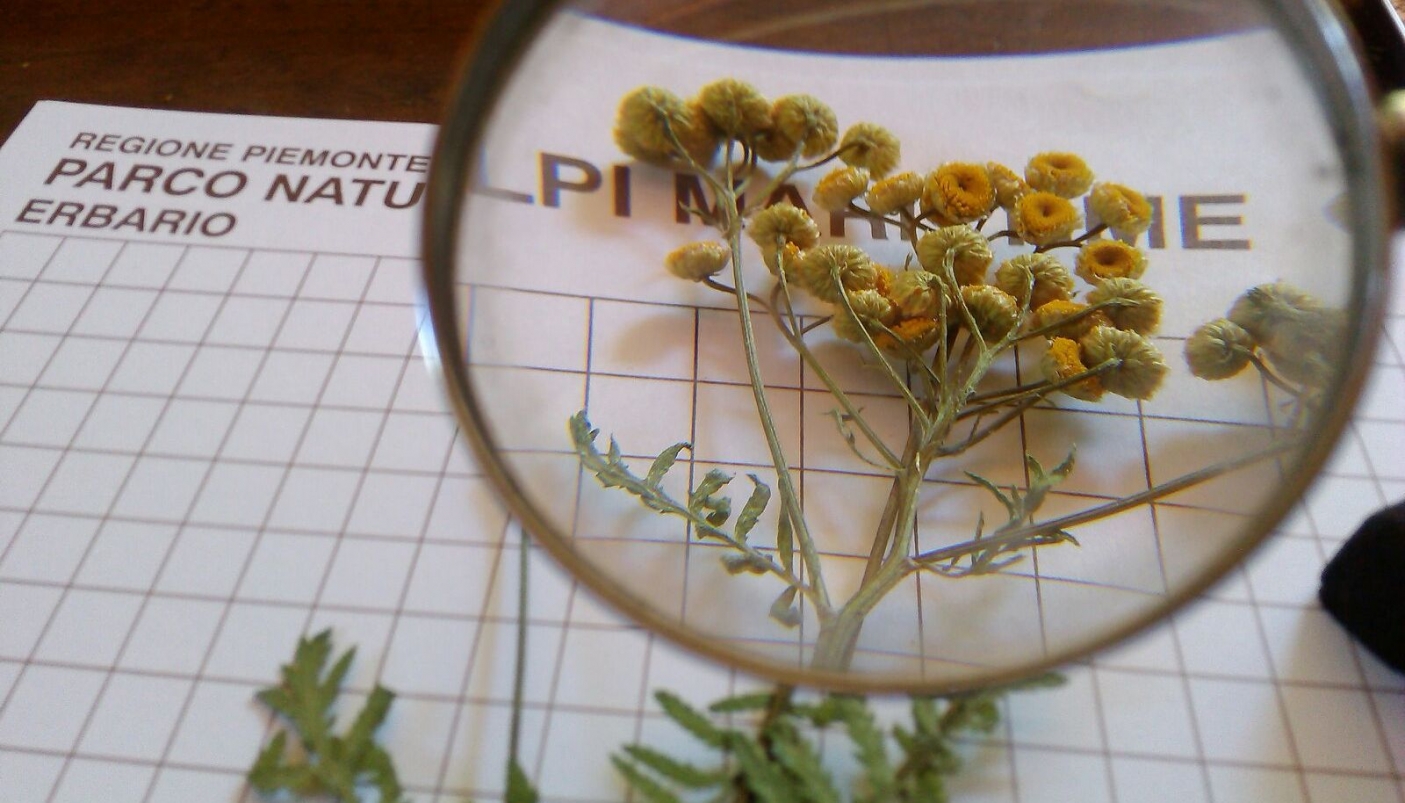 Foto p.g.c. Cooperativa Montagne del Mare 