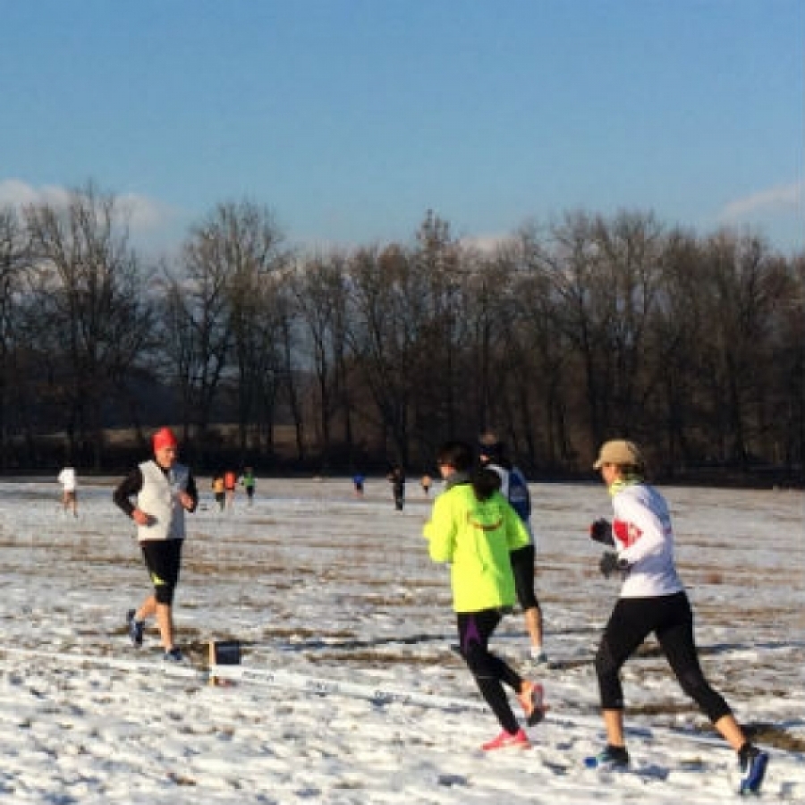 La Mandria, il parco che predilige lo sport