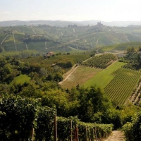 Un paesaggio dal sapore mondiale