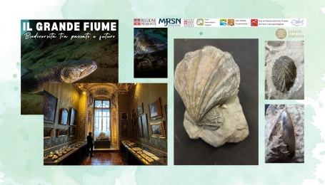 Il Grande Fiume, biodiversit&agrave; tra passato e futuro