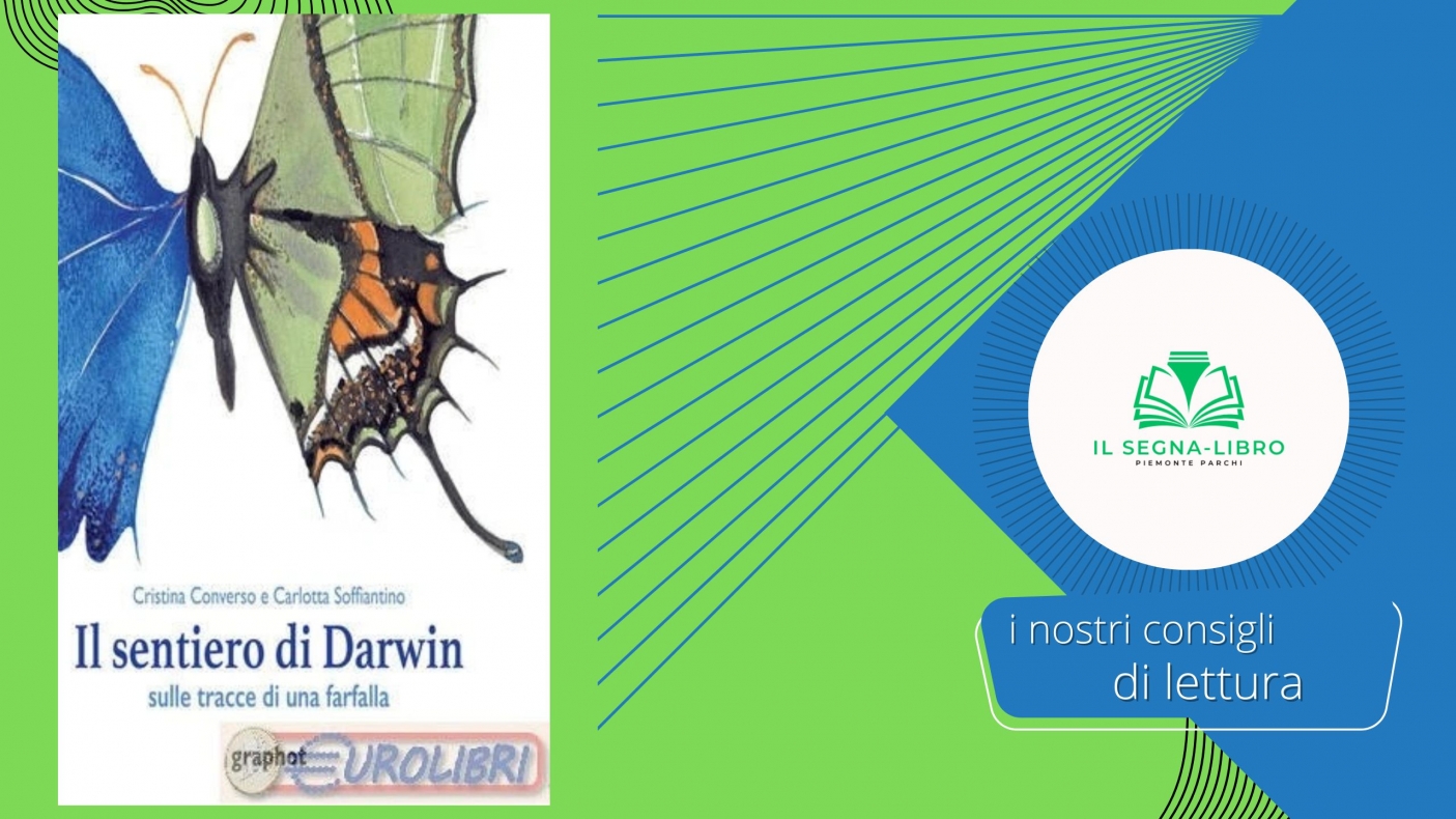Il sentiero di Darwin sulle tracce di una farfalla